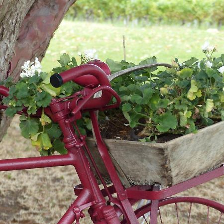 L'Alambic De L'Estuaire Bed & Breakfast Saint-Fort-sur-Gironde Luaran gambar