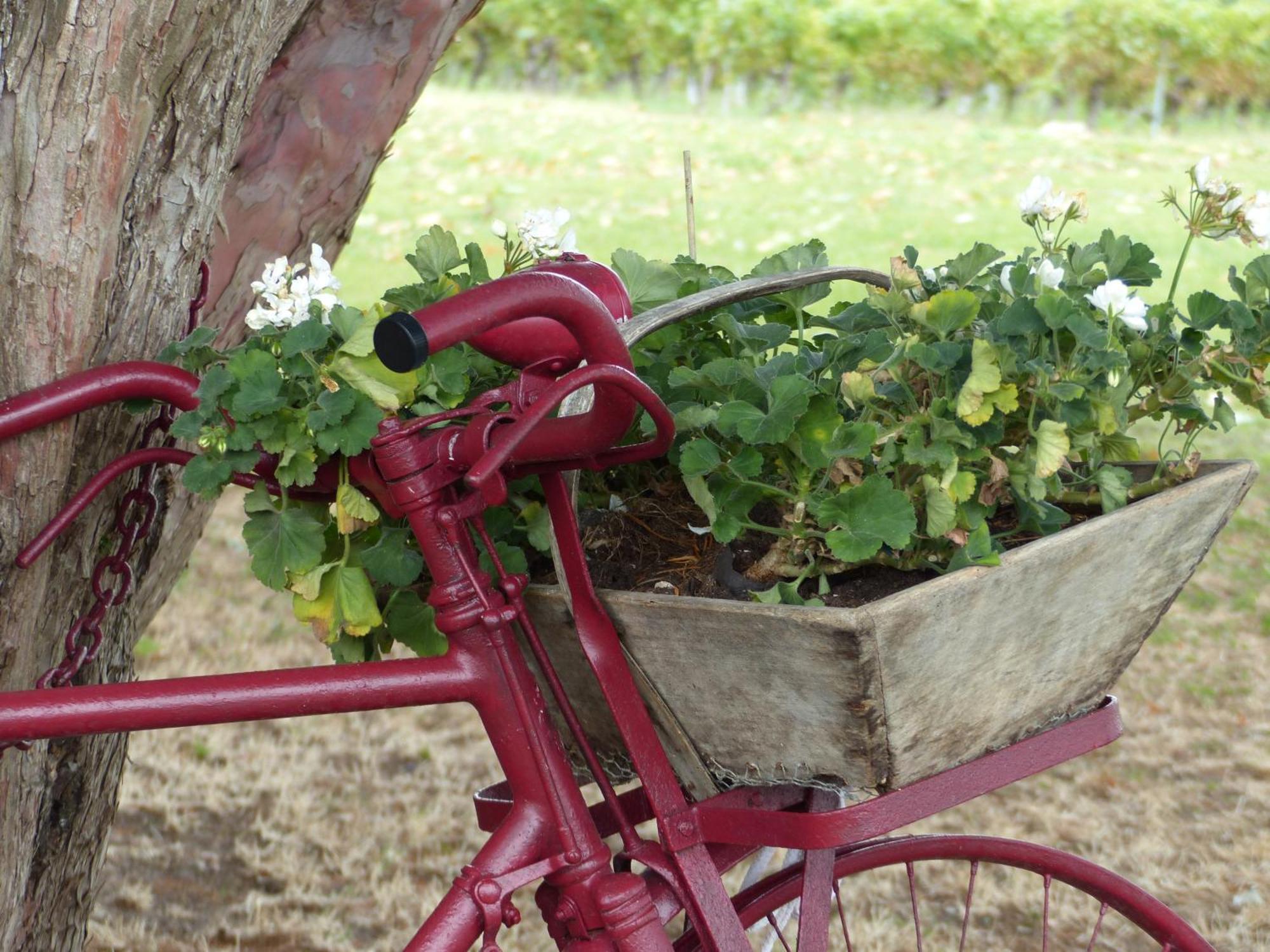 L'Alambic De L'Estuaire Bed & Breakfast Saint-Fort-sur-Gironde Luaran gambar